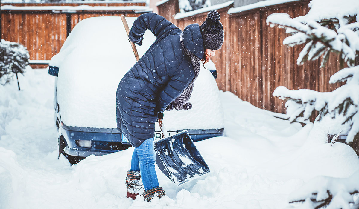 Do you believe these Montreal stereotypes