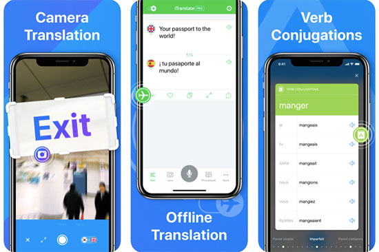 Use a translation app like iTranslate